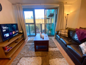 Swanky Central Apartment with Free Wifi (Sleeps 4)